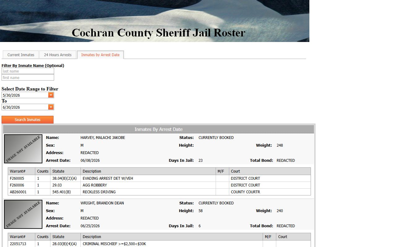 Cochran County inmate records arrest date search fields